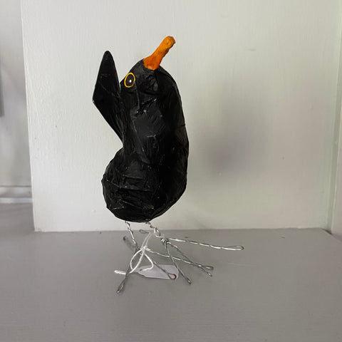 Blackbird by Joanna Coupland