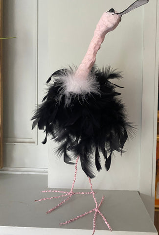 Ostrich by Joanna Coupland