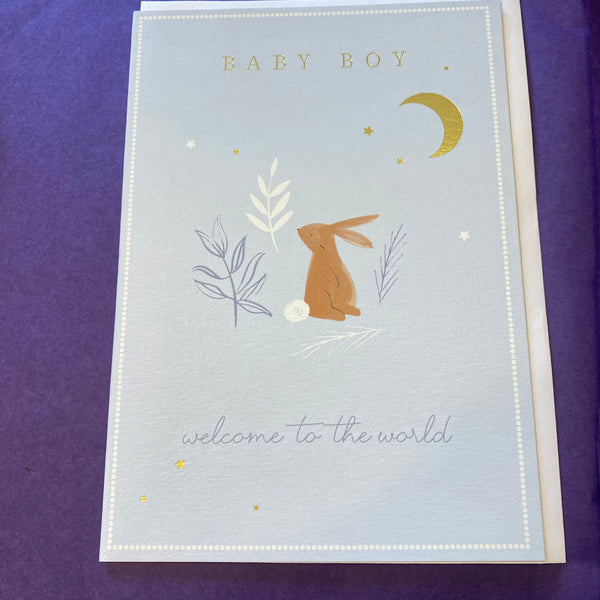 Cards - New Baby Boy, Girl, Twins