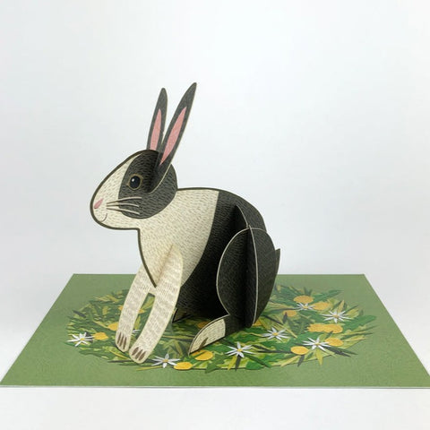 Pop Out Pets - Rabbit