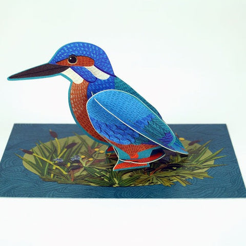 Pop Out Pets - Kingfisher