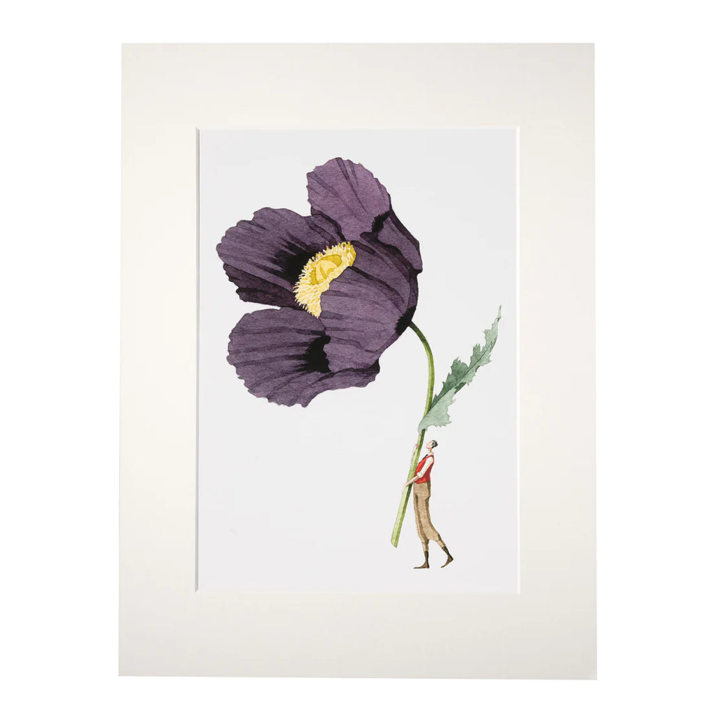 Purple Poppy Print by Laura Stoddart