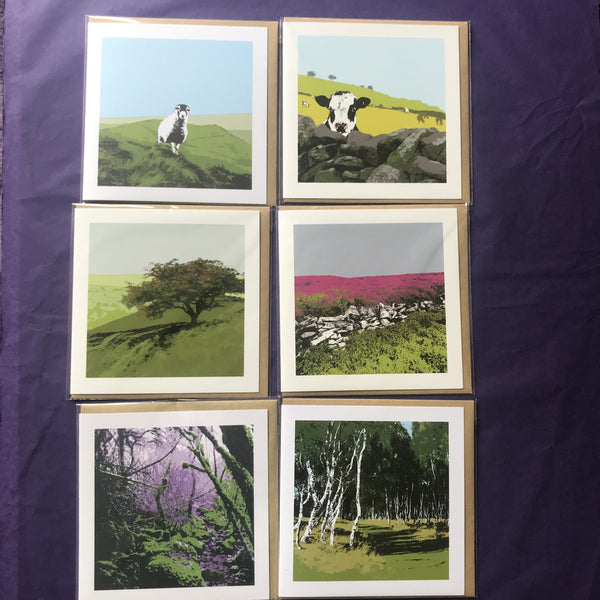 General Cards  9 - Local Artist Hannah Bird