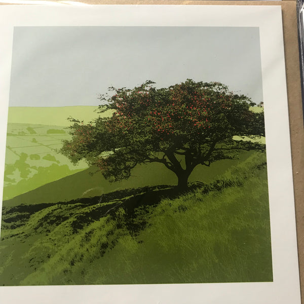 General Cards  9 - Local Artist Hannah Bird