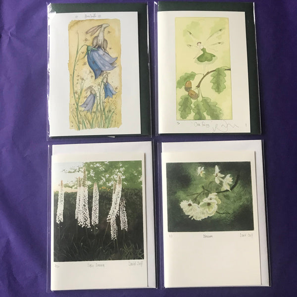 Birthday Cards 16h