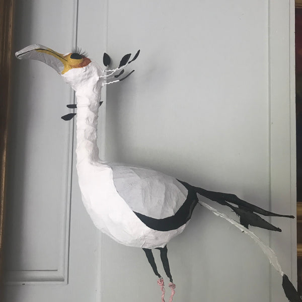 Secretary Bird by Joanna Coupland
