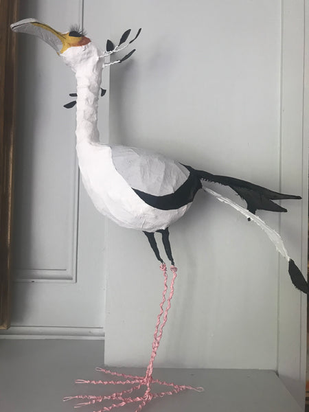 Secretary Bird by Joanna Coupland