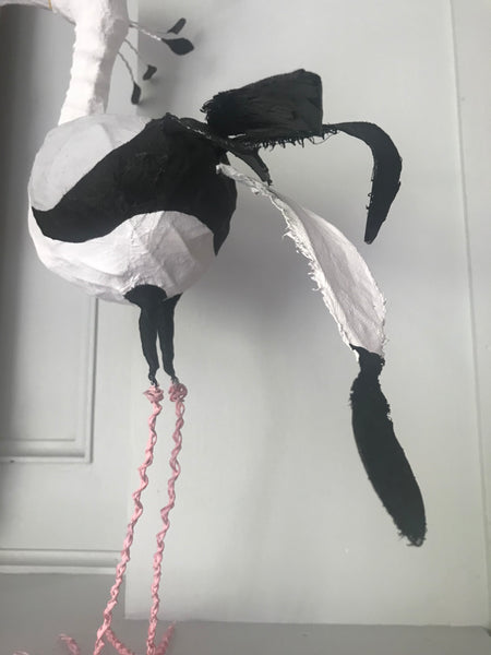 Secretary Bird by Joanna Coupland