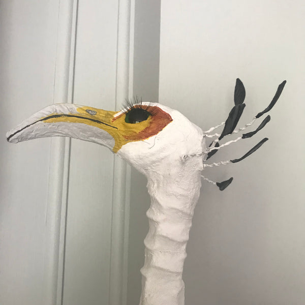 Secretary Bird by Joanna Coupland