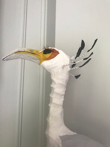 Secretary Bird by Joanna Coupland
