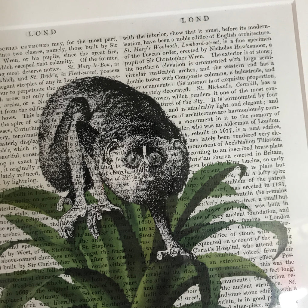 Vintage Quirky Prints - Lemur on Pineapple