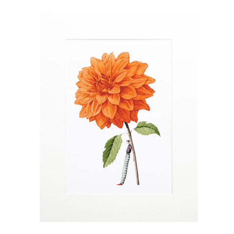 Orange Dahlia Print by Laura Stoddart