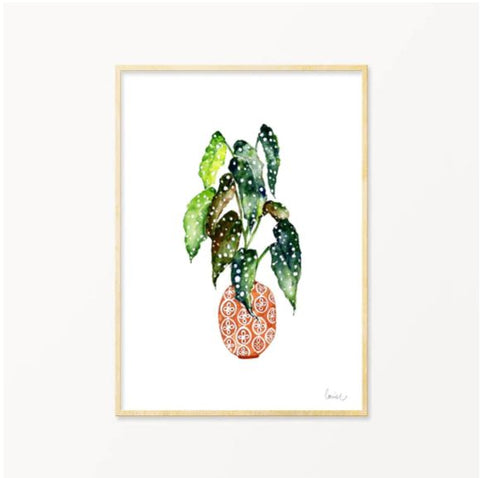 Spotted Begonia Print