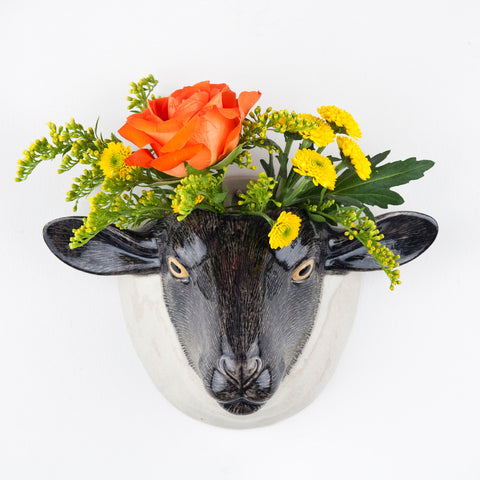 Animal Wall Vase - Suffolk Sheep Black face