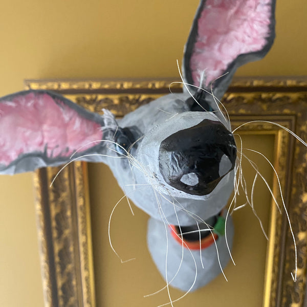 Greyhound with orange collar by Joanna Coupland
